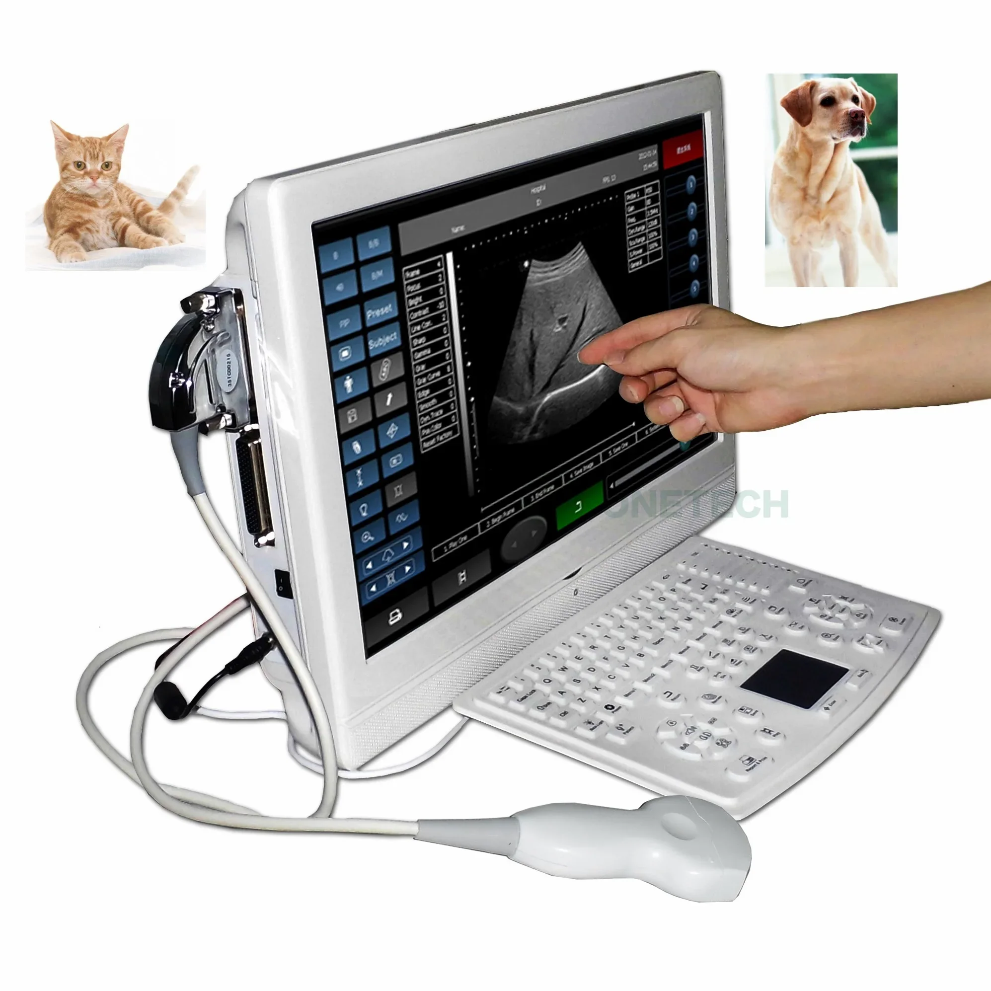 Köpekler ve Kediler için Microconvex Problu Kararlı Performanslı Dokunmatik Ekranlı Veteriner Ultrason Ekipmanı B20T-P